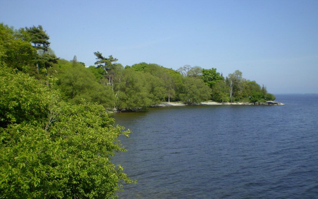 Picnic and Sail