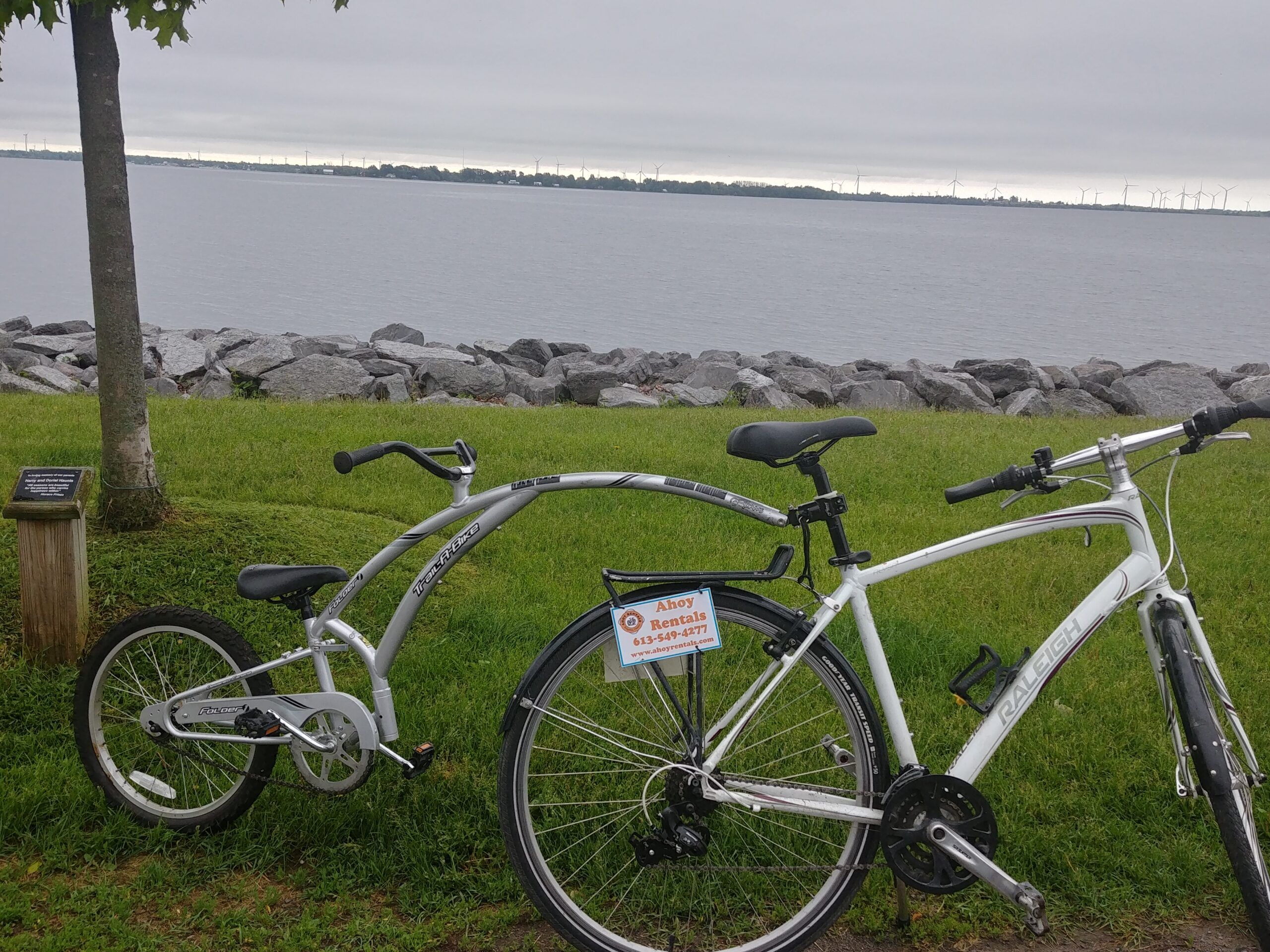 Trail along clearance bike