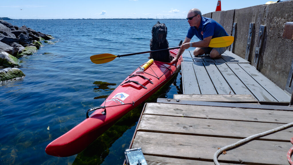 Gaspe Sea Kayak In Kingston Ontario• Ahoy Rentals